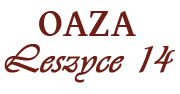 Leszyce 14 – dom do wynajęcia oaza